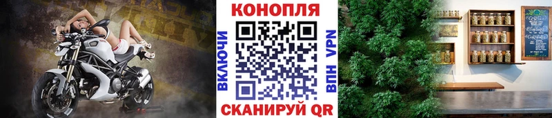 Канабис тримм  где найти   Лянтор 